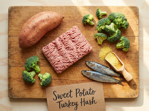 Prepared whole-food ingredients for a homemade dog meal rotation